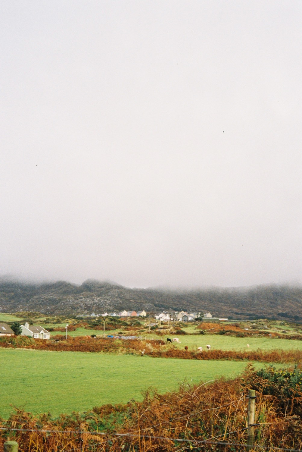 analog photography
